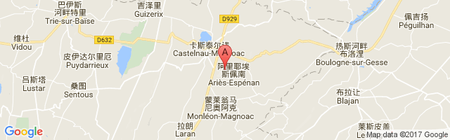 Castelnau Magnoac Airport图片