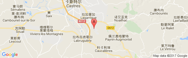 Castres-Mazamet Airport图片