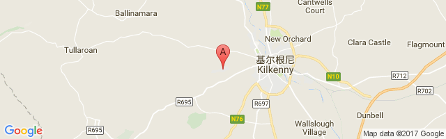 Kilkenny Airport图片