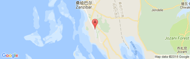 桑给巴尔机场 Abeid Amani Karume International Airport图片