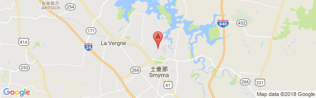 Smyrna Airport图片