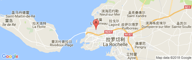 La Rochelle-Île de Ré Airport图片