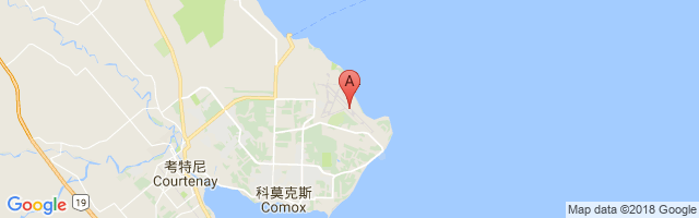 Comox Airport图片