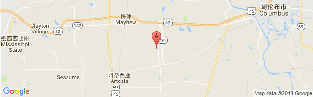 Golden Triangle Regional Airport图片