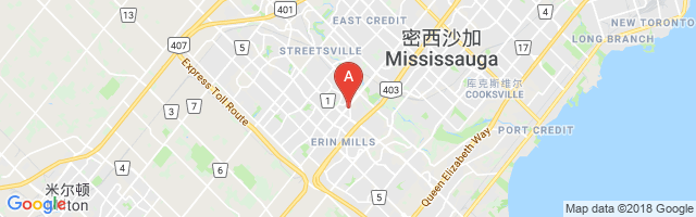 Toronto (Mississauga Credit Valley Hospital) Airport图片