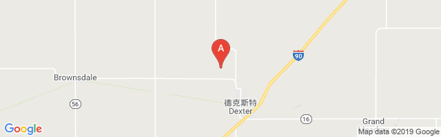 Petes Airport图片