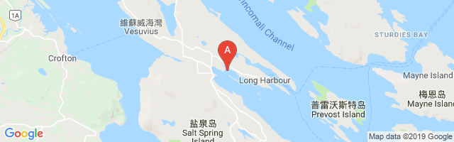 Madrona Bay Airport图片