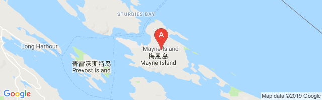 Mayne Island (Medical Emergency) Airport图片