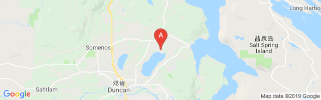 Quamichan Lake (Raven Field) Airport图片