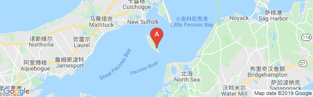 Robins Island South Airport图片