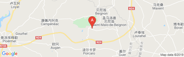 Coëtquidan Air Base Airport图片