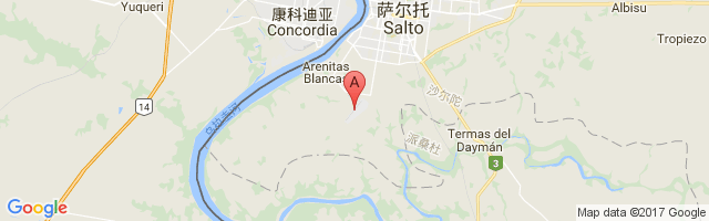 Nueva Hesperides International Airport图片