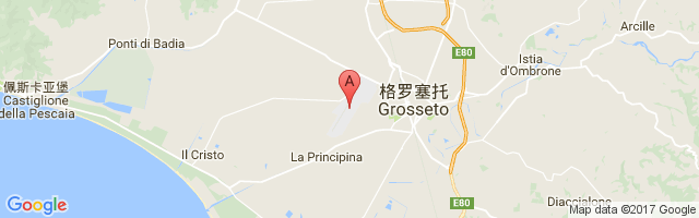 Grosseto Airport图片