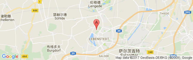 Am Salzgittersee Airfield Airport图片