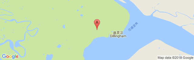 Dillingham Airport图片