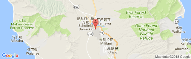 Wheeler Army Airfield Airport图片
