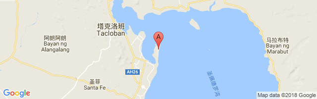 塔克洛班机场 Daniel Z. Romualdez Airport图片