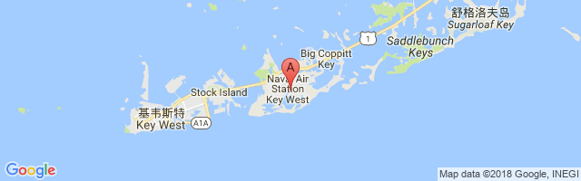 NAS Key West/Boca Chica Field (Private U.S. Navy) Airport图片