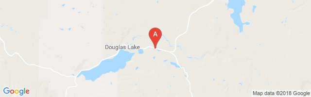 Douglas Lake Airport图片