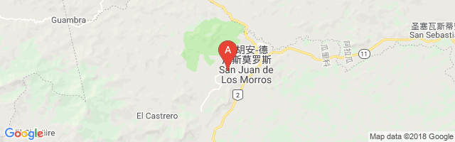 San Juan de Los Morros Airport图片