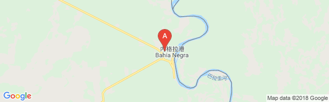 Bahía Negra Airport图片