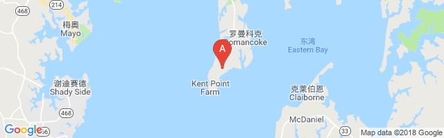 Kent Fort Manor Airport图片