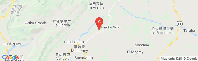 Monterrey Airport图片