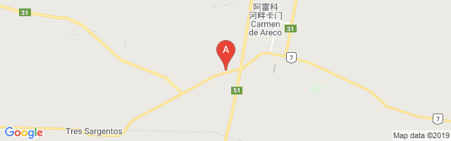 Carmen De Areco Airport图片