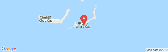 Big Whale Cay Airport图片