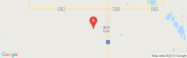 Kyle Airport图片