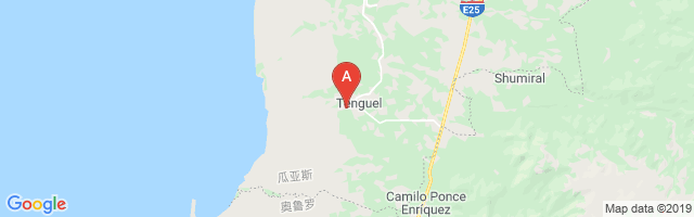 Tenguel Airport图片