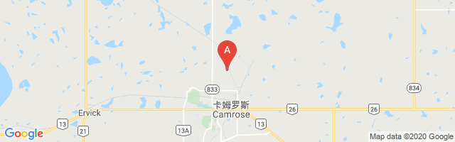 Camrose Airport图片