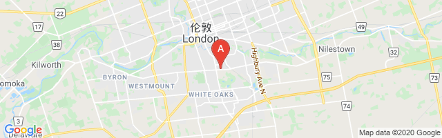 London (Victoria Hospital) Airport图片