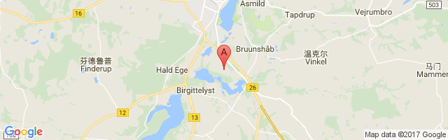 Viborg Airport图片