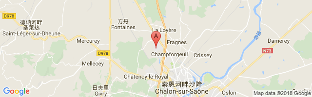 Chalon-Champforgeuil Airport图片