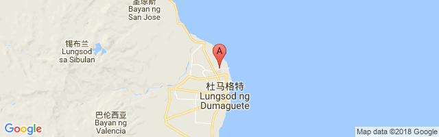 杜马格特机场 Sibulan Airport图片