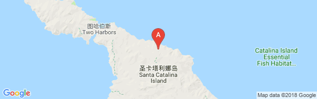Catalina Airport图片