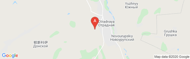 Otradnaya Airport图片