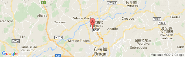 Braga Municipal Aerodrome Airport图片