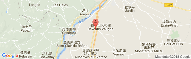 Vienne Reventin Airport图片
