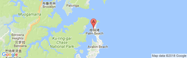 Palm Beach SPB Airport图片