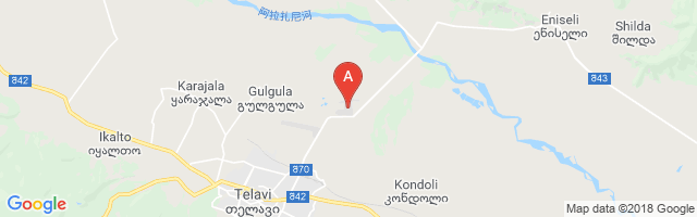 Telavi Air Base Airport图片