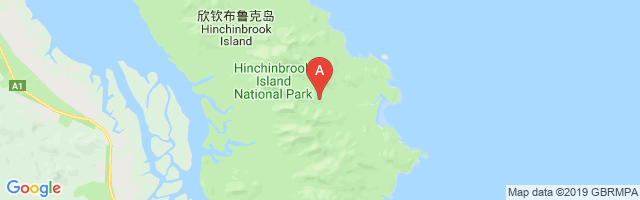 Hinchinbrook Island Airport图片