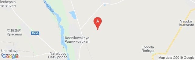 Rodnikovskaya Airstrip Airport图片