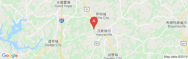 Wallace State College Airport图片
