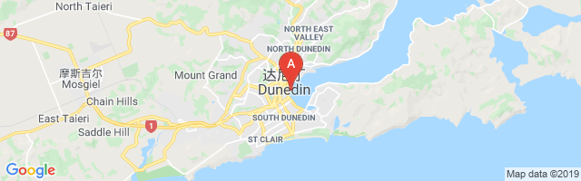Dunedin City Airport图片