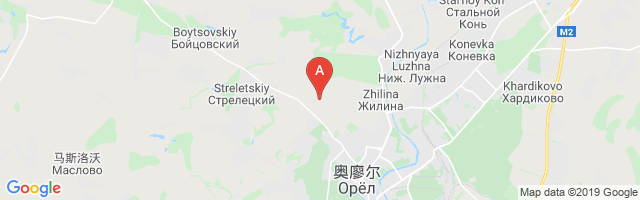 Oryol Severny Airport图片