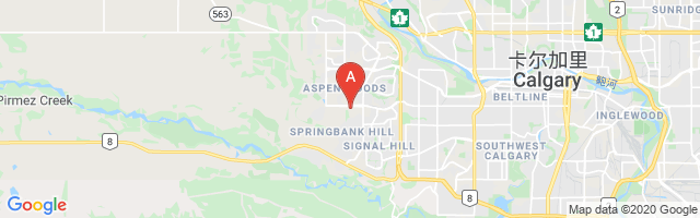 Calgary (Westport) Airport图片