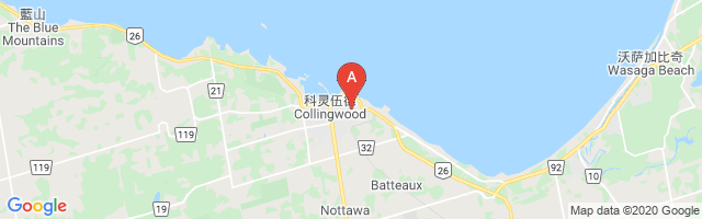 Collingwood (General and Marine Hospital) Airport图片