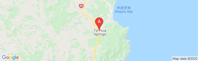 Te Puia Springs Hospital Airport图片